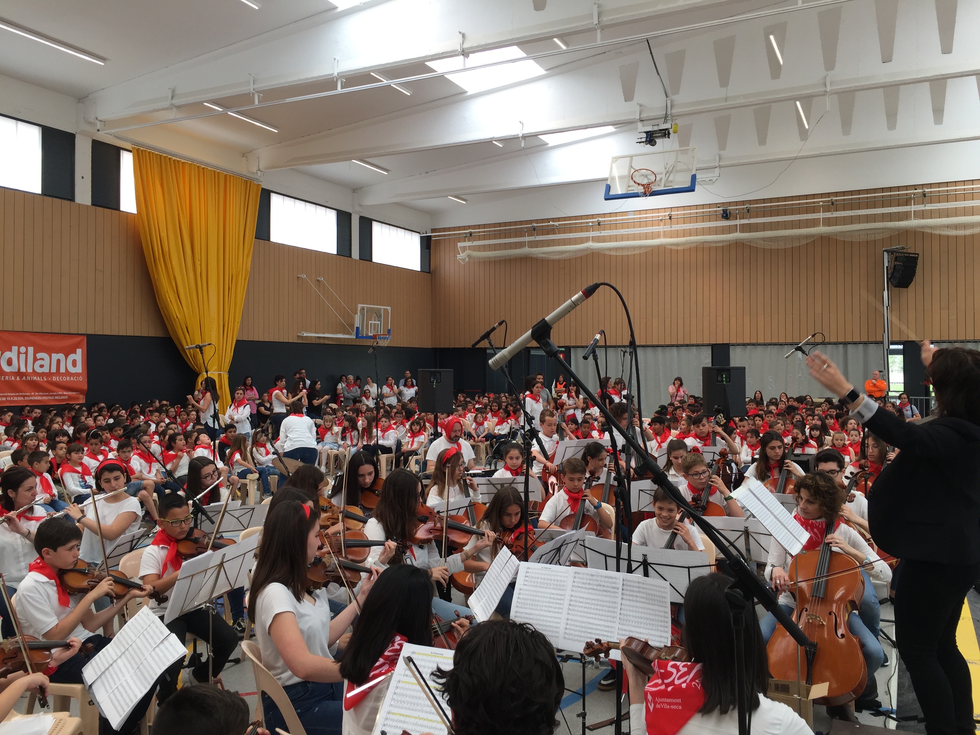 Una orquestra del conservatori posa música a la Cantata de Sant Jordi