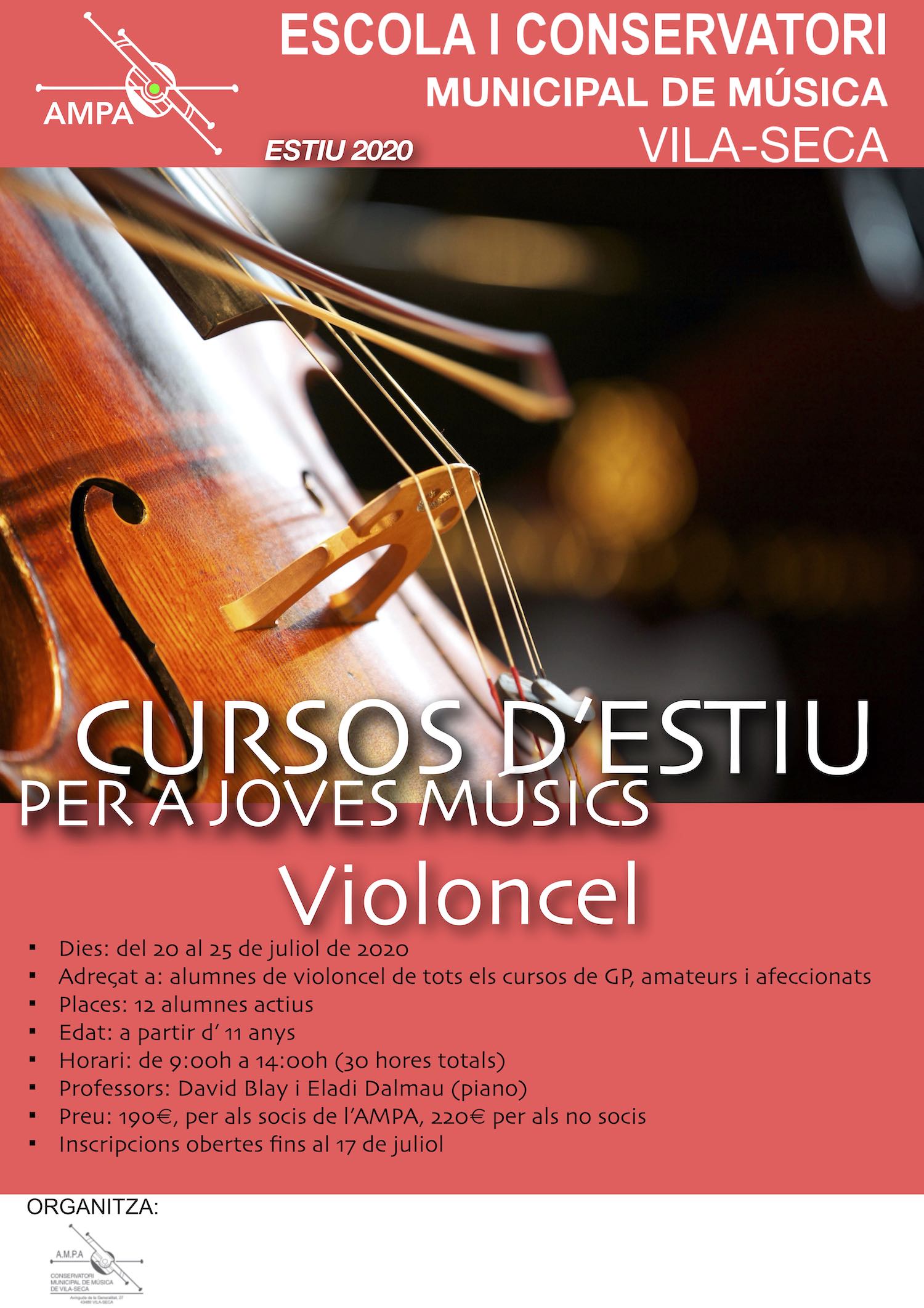 Curs d'estiu de Violoncel