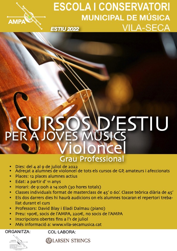 Cursos d'Estiu per a Joves Músics: Violoncel - Grau Professional