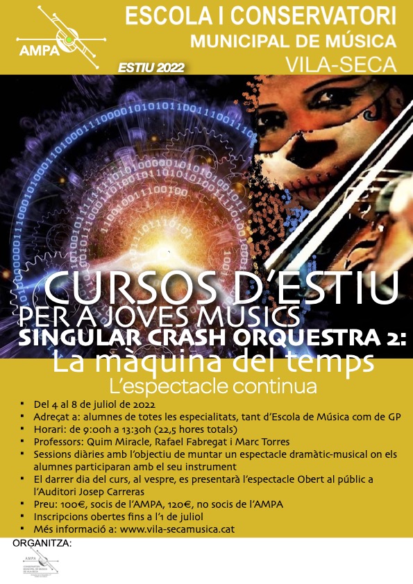 Cursos d'Estiu per a Joves Músics: Singular Crash Orquestra