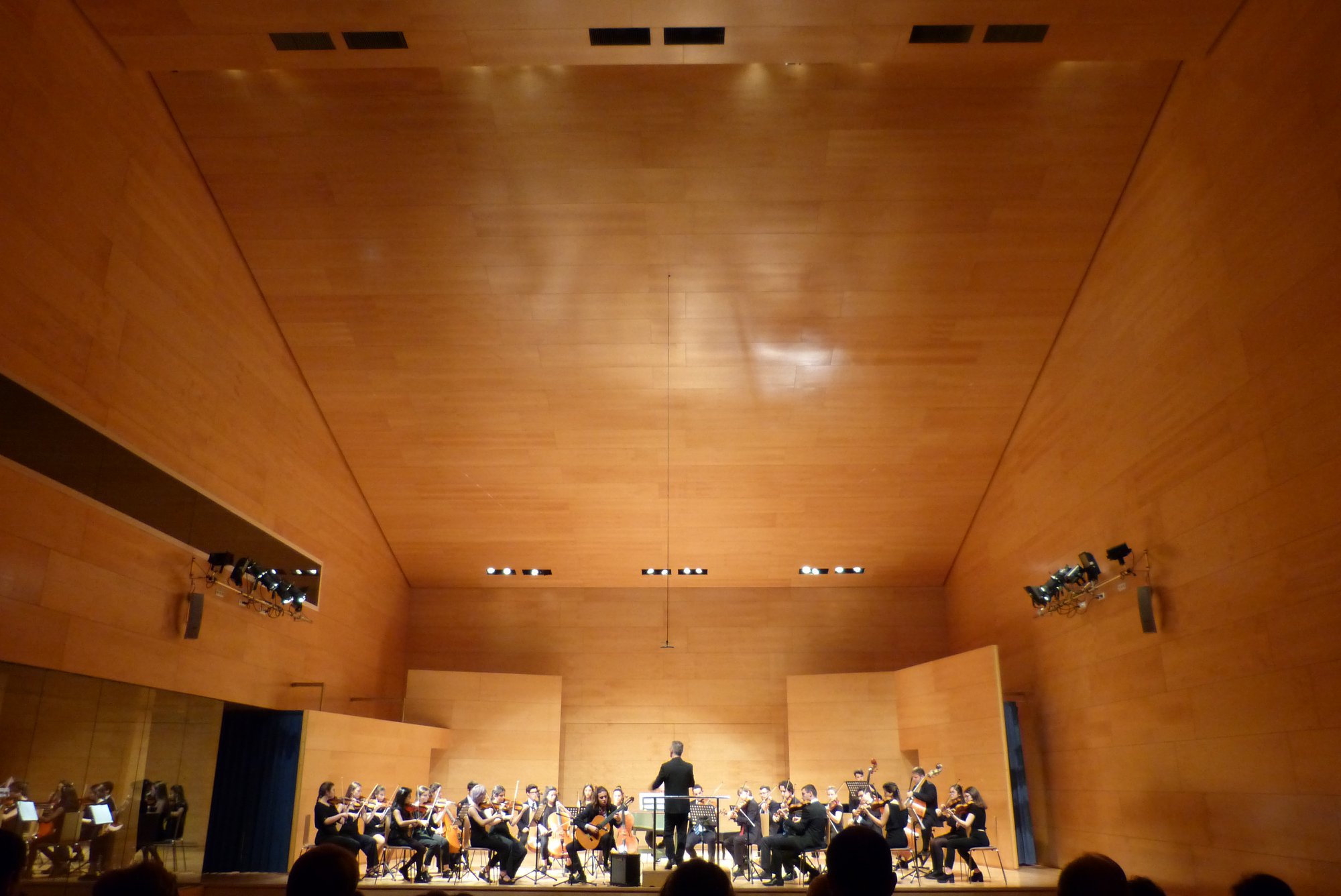 Magnífic concert de l'Orquestra Händel a l'Auditori Josep Carreras